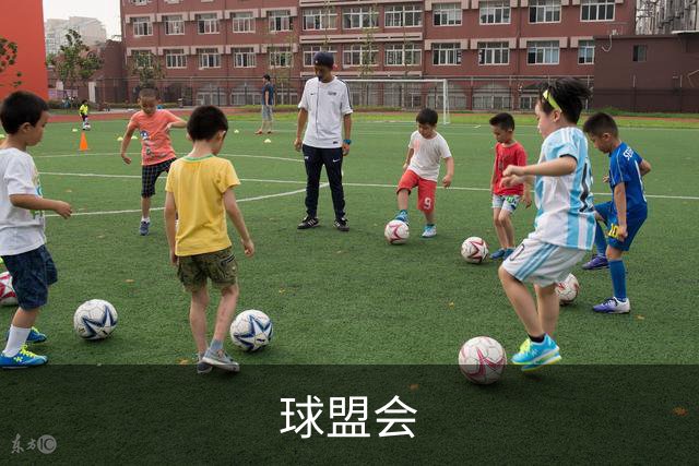 球盟会